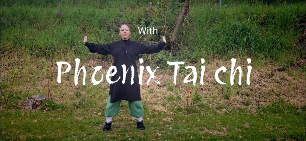 Phoenix Alapo Program 1