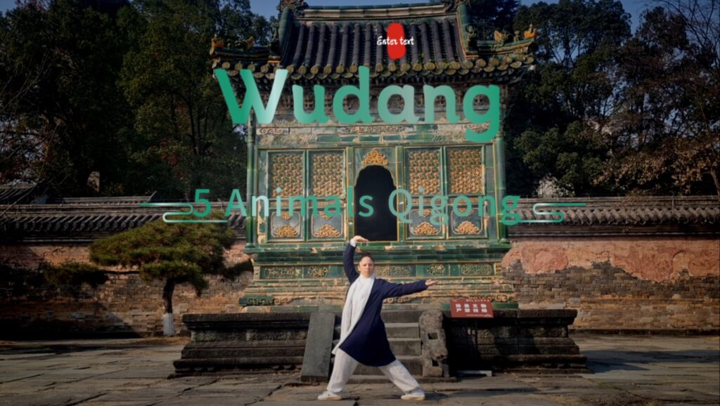 Wudang 5 Állat Qigong