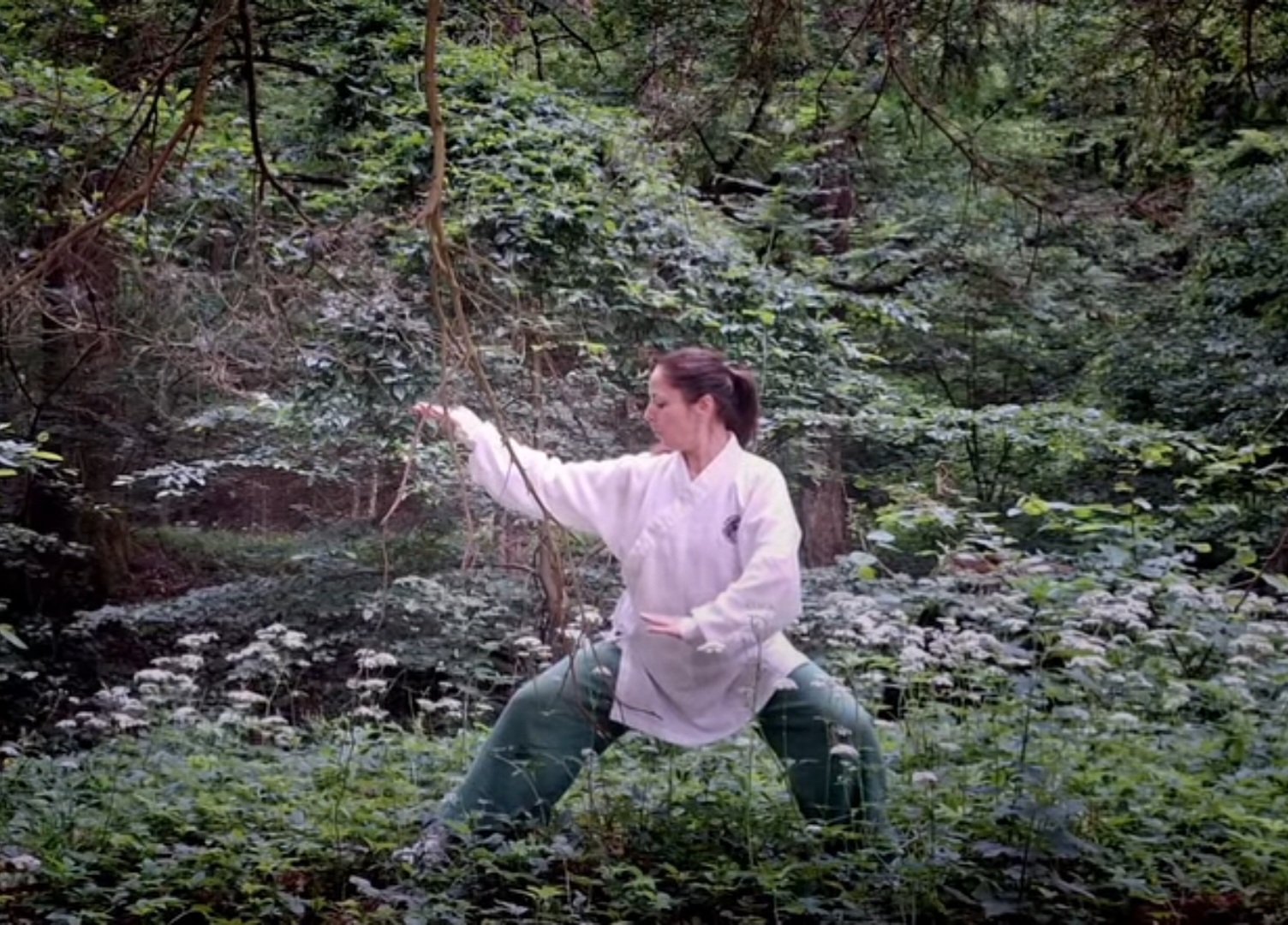 Wudang Tai Yi Swimming Dragon Fist
