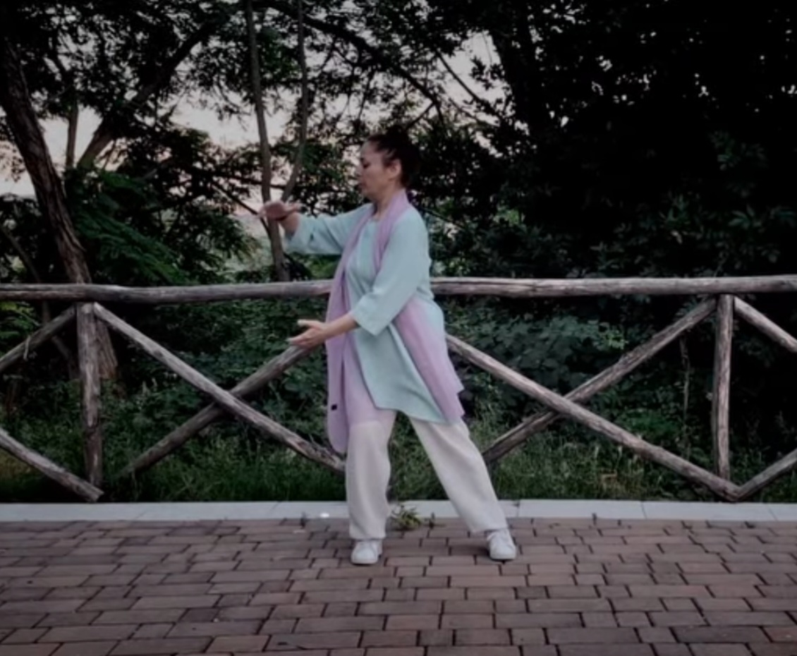 Wudang 9 Style Tai chi